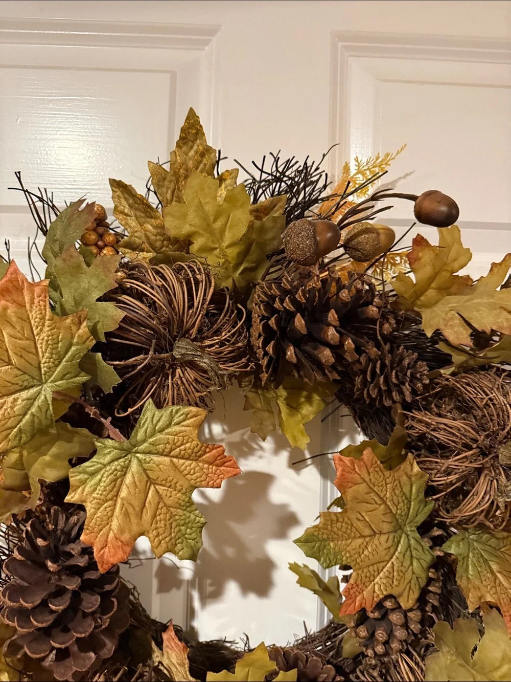 Ashland elegant fall